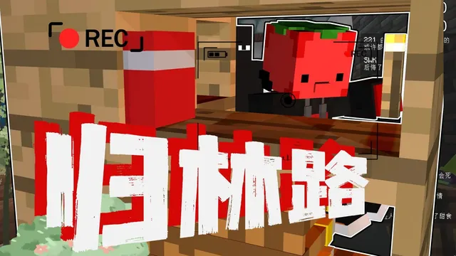 归林路的录播封面